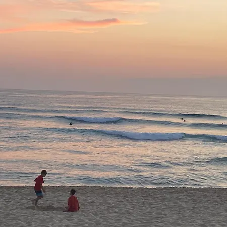 Mimizan, Cottage Avec Piscines & Spa Proche Plage Bias (Landes)